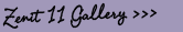 Zenit 11 Gallery!