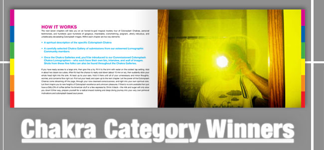 CHAKRA CATEGORY WINNERS
