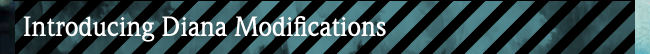 Introducing Diana Modifications