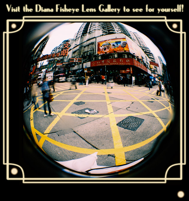 Diana F+ Fisheye Lens special bundle deal