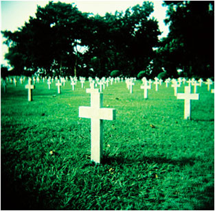 The effects of Holga Mania  