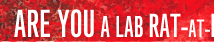 are you a lab rat-at-