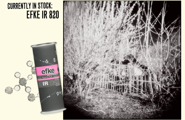 EFKE IR 820