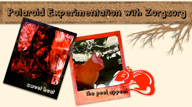 Polaroid Experimentation with Zorgzorg