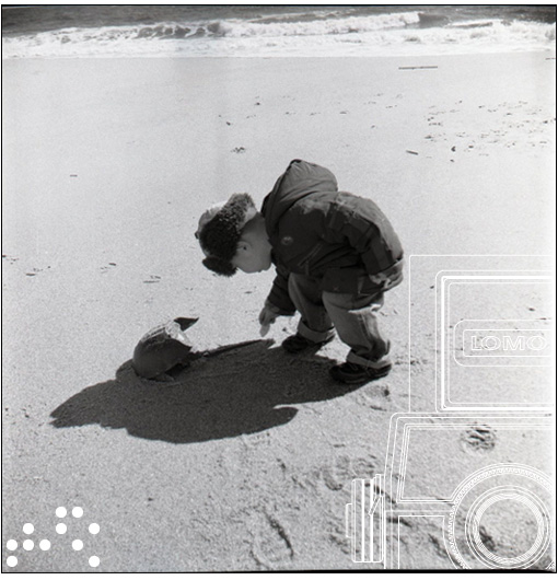 The Lubitel Lomography Experience