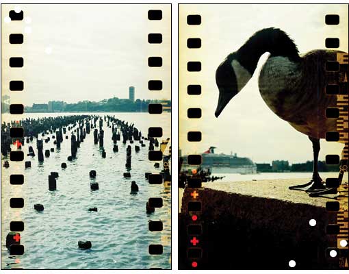 The Lubitel Lomography Experience