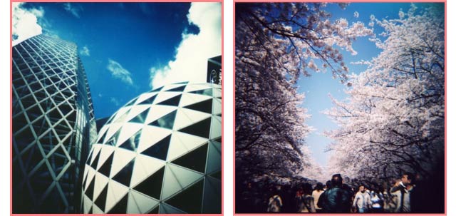 Visit Gallery!