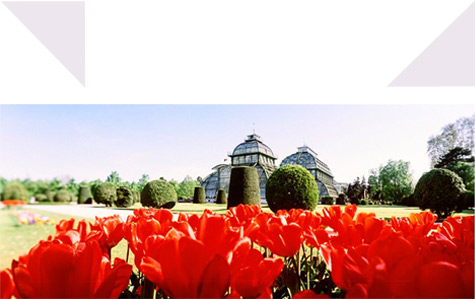 Visit Gallery