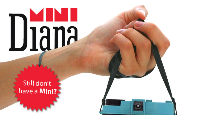 The Diana Mini: Petite & Pretty Sweet!