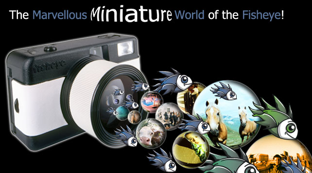 The marvellous miniature world of the fisheye