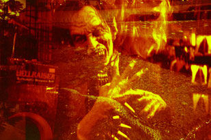 Visit the Lomography Onlineshop