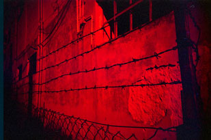 Visit the Lomography Onlineshop