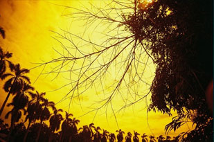 Visit the Lomography Onlineshop