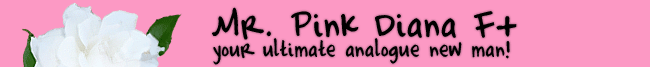 Mr. Pink Diana+  your ultimate analogue new man!