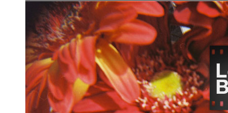 Lomography= Best Source for Film!