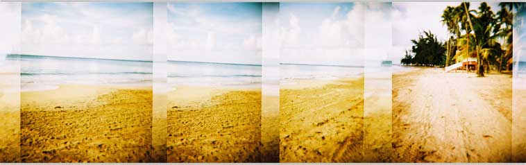 DigitaLIZA = wild-style Lomographic formats easily scannable for the 1st time! 