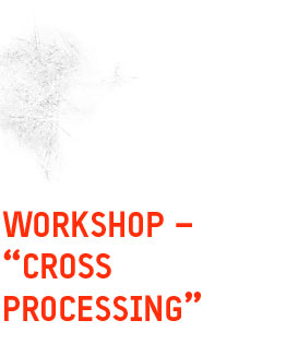 Workshop – cross processing