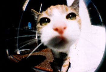 image01