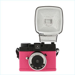 Diana Mini En Rose