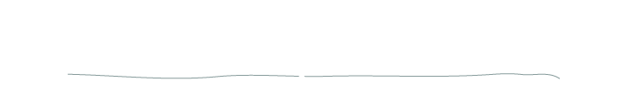Luxury Lover