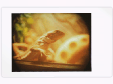 Because Instax Can't Wait for My Close-Up