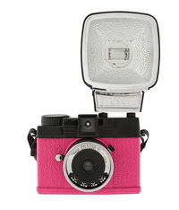 Pretty in Pink: The New Diana Mini En Rose 