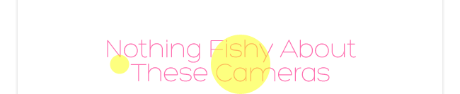 Nothing Fishy About These Cameras