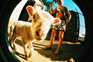 Fisheye Nr. 2
