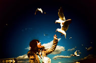 Lomo LCA+