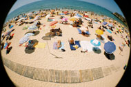 Fisheye Nr. 2