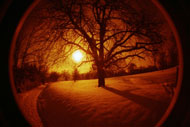 Fisheye Nr. 2
