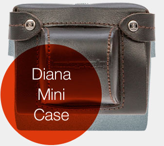 Diana Mini Case