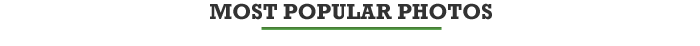 Most Popular Photos 