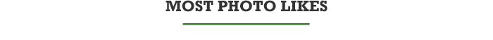 Most Photo Likes 
