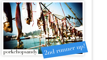 2nd runner up - porkchopsandy
