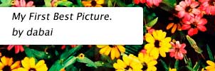 My First Best Picture. by dabai 