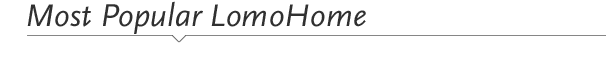 January's Most Popular LomoHomes
