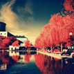 First roll of Kodak Aerochrome