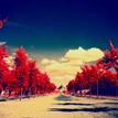 First roll of Kodak Aerochrome