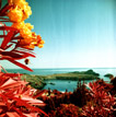 My first try with a color infrared film...