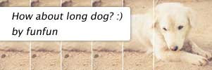 How about long dog? :)