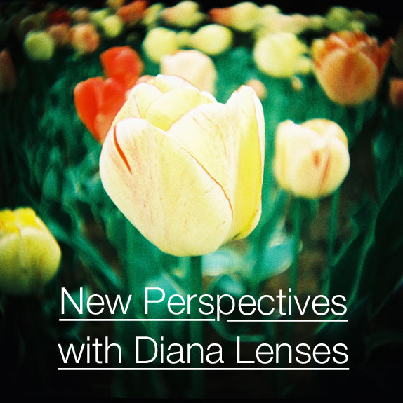 New Perspectives with Diana Lenses 