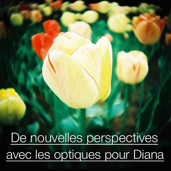 New Perspectives with Diana Lenses 