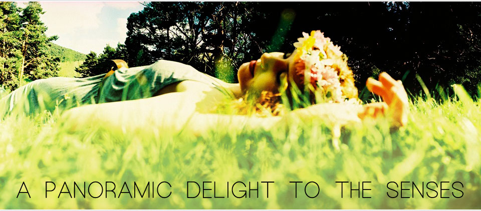 A Panoramic Delight to the Senses 
