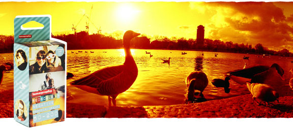 REDSCALE ORANJE DEALS