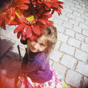 Lomography Color Negative 100