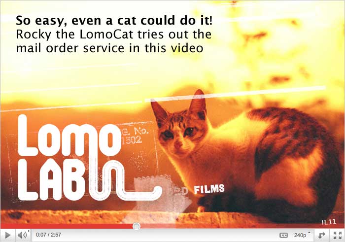 So easy, even a cat could do it!  