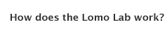 How does the Lomo Lab work?