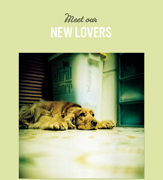 Meet our new lovers