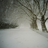 Found: Lost Pictures of New York Blizzard